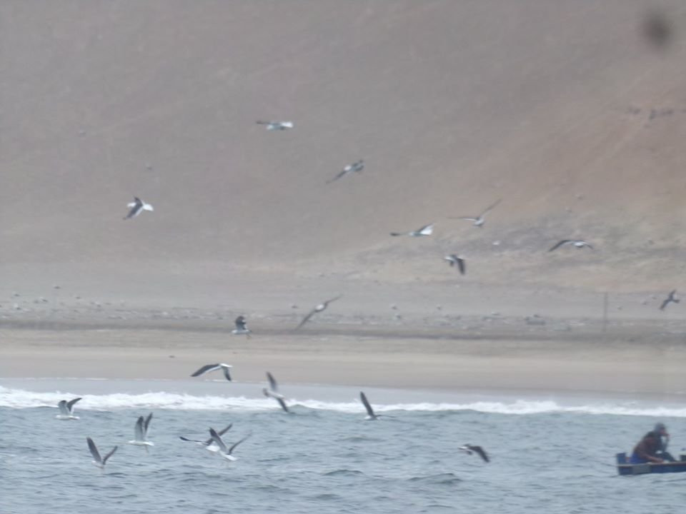 Caballeros Beach-利马必去景点
