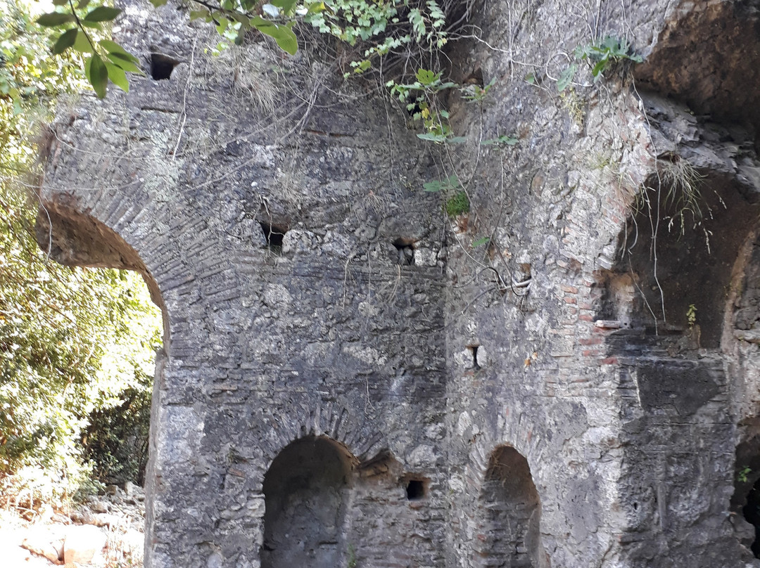 Olympos Archeological Site景点图片