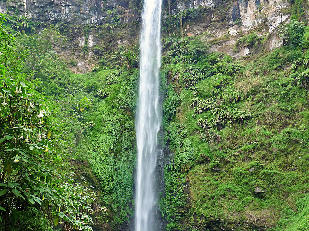 Coban Rondo Waterfall景点图片