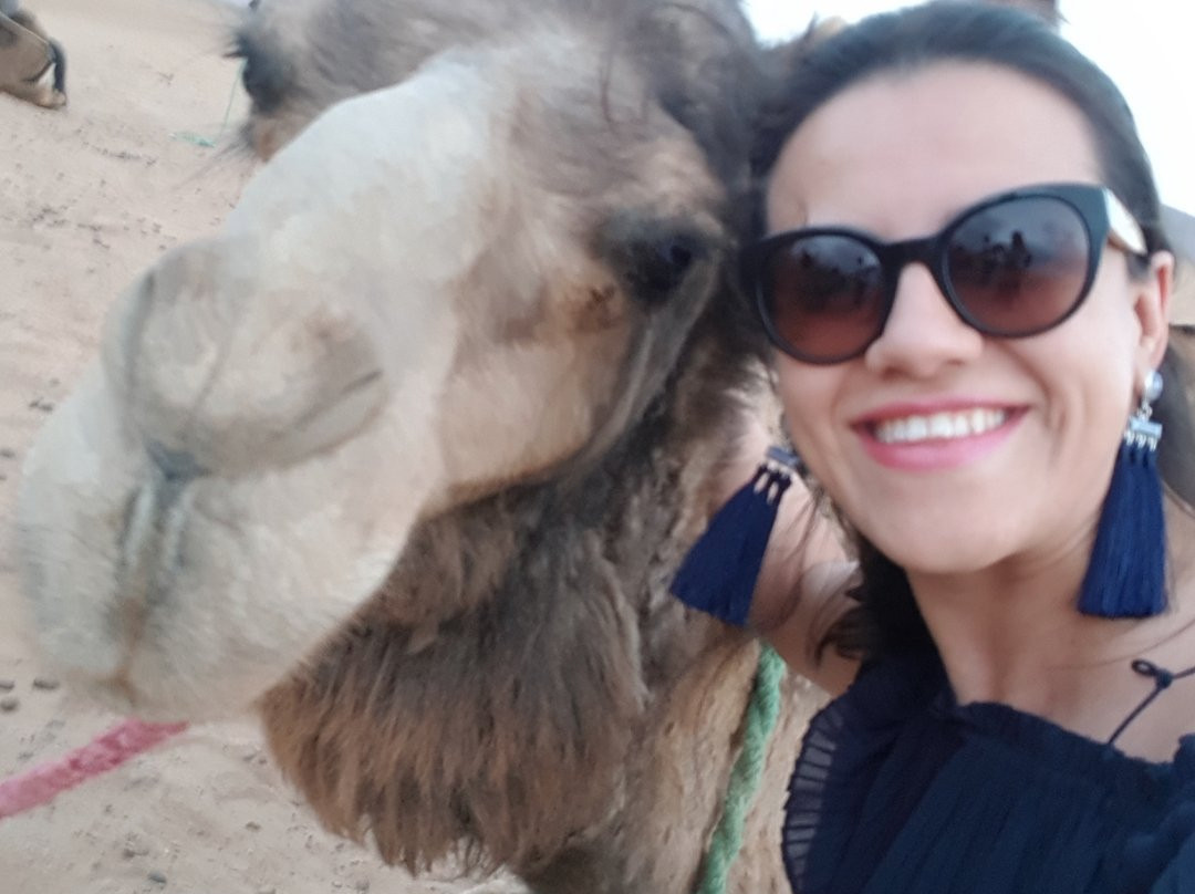 Moroccan Exploration-非斯必去景点