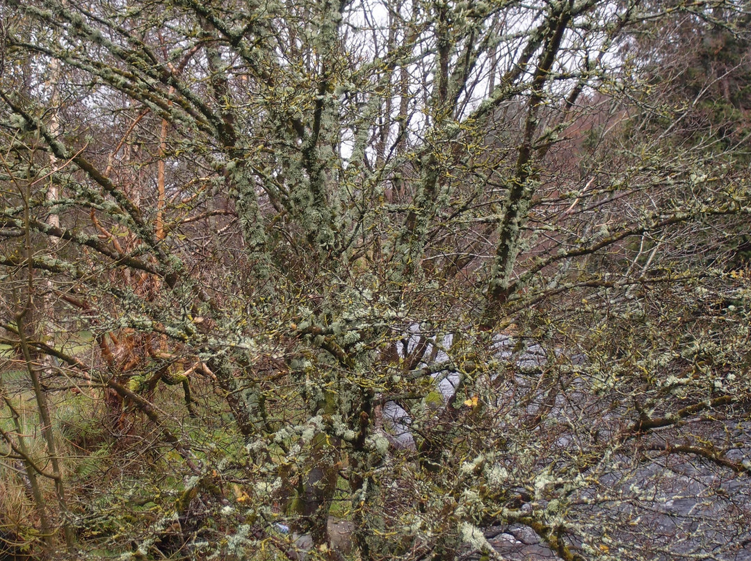 The Wicklow Way-Wicklow必去景点