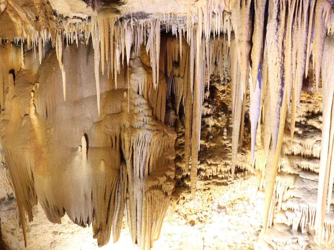 Hoshino Cave景点图片