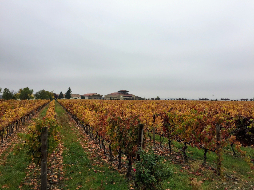 Bodegas Finca La Emperatriz景点图片