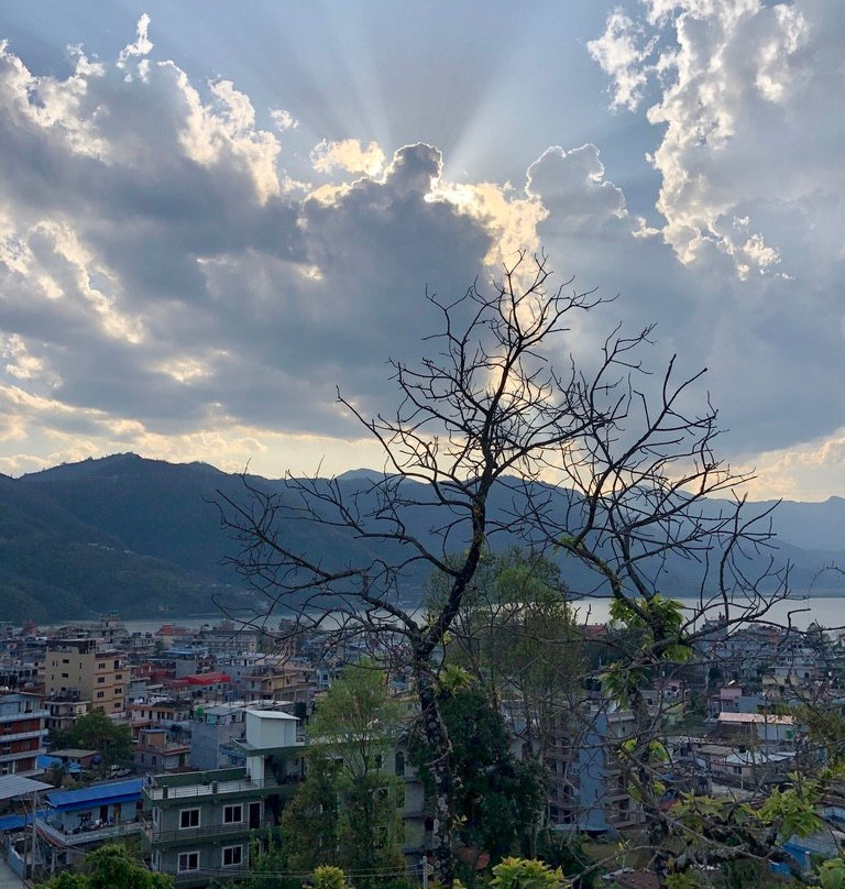 Bar Peepal Resort主图