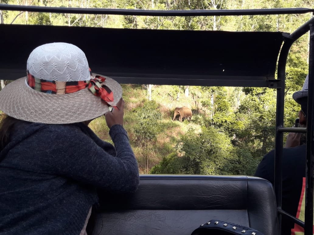 Gavi Forest-帖可迪必去景点