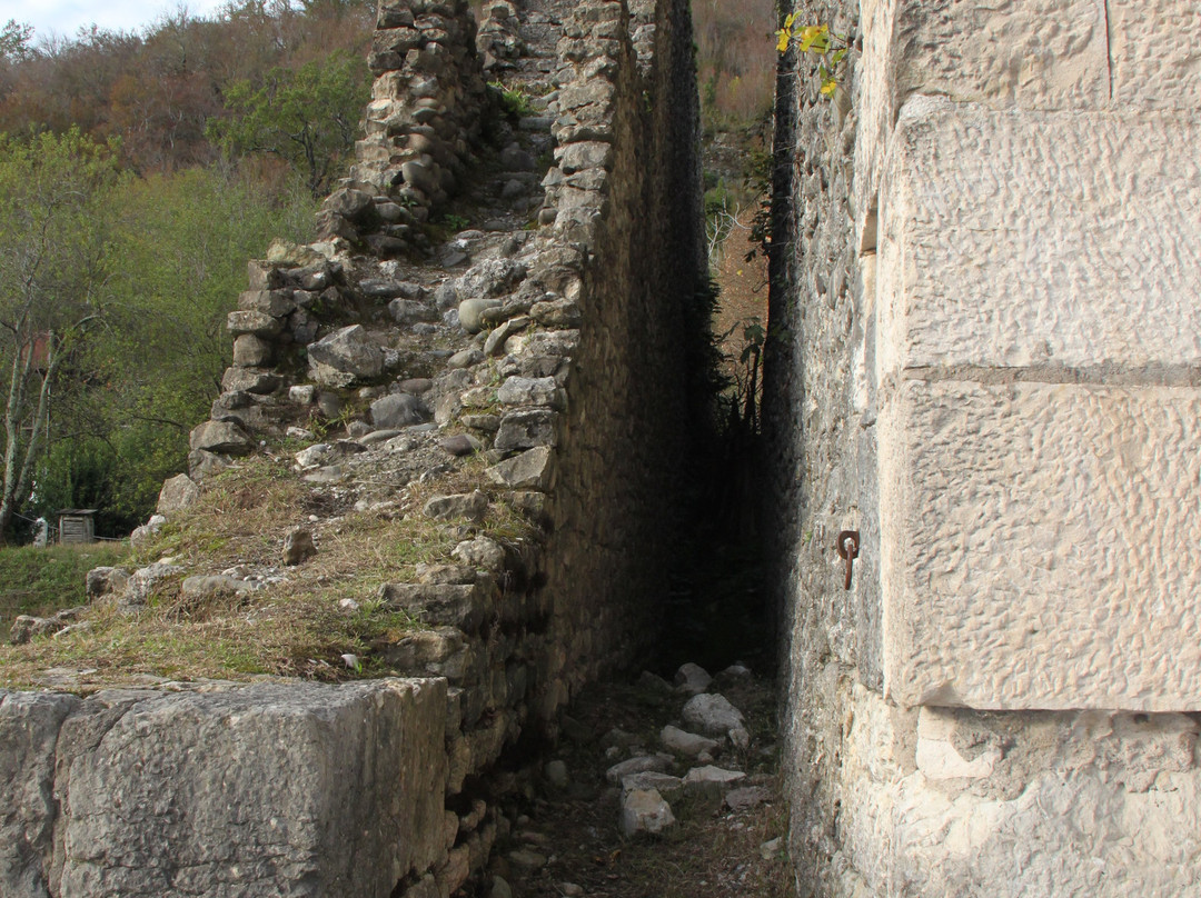 Town-Fortress Nokalakevi景点图片