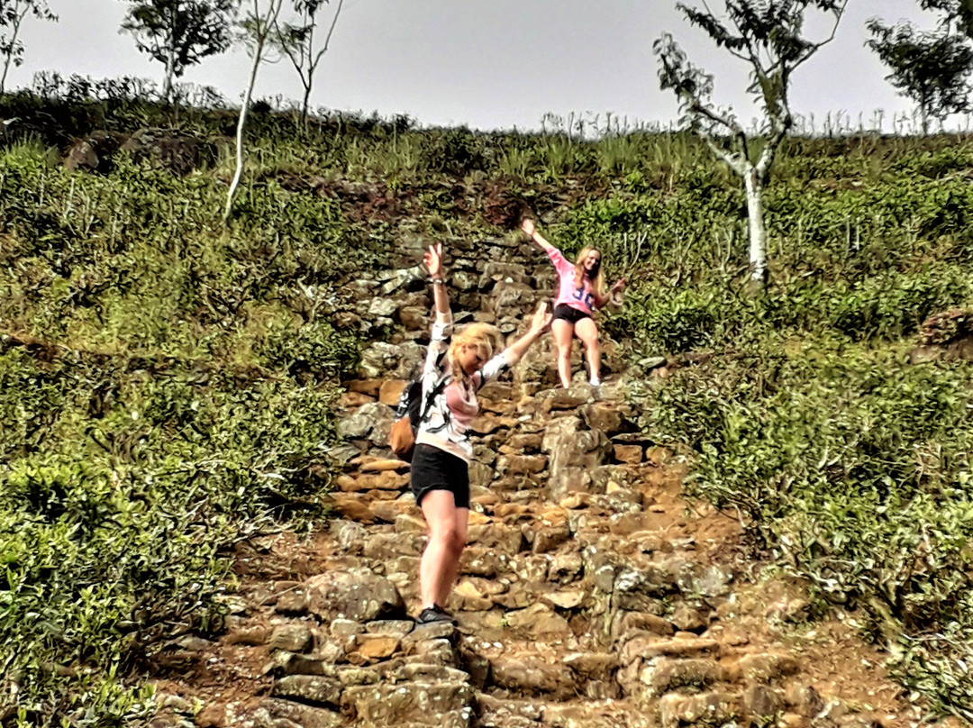 Lipton’s Seat-哈普特莱必去景点