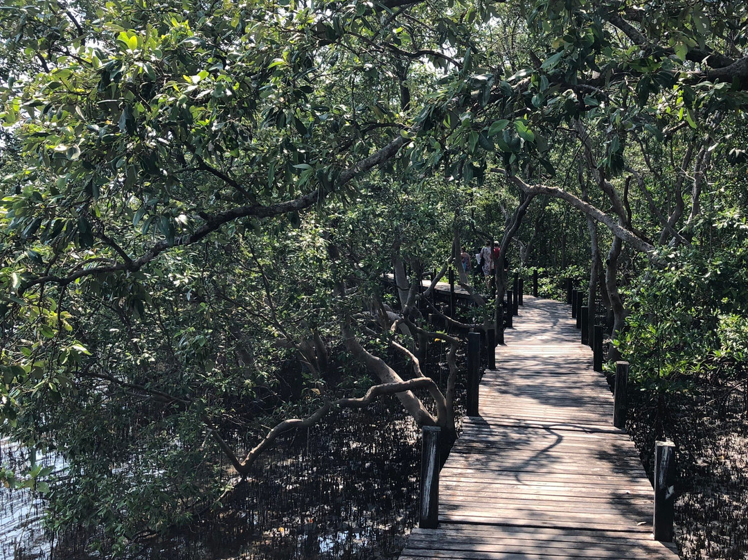 Tung Prong Thong-Ban Pak Nam Krasae必去景点