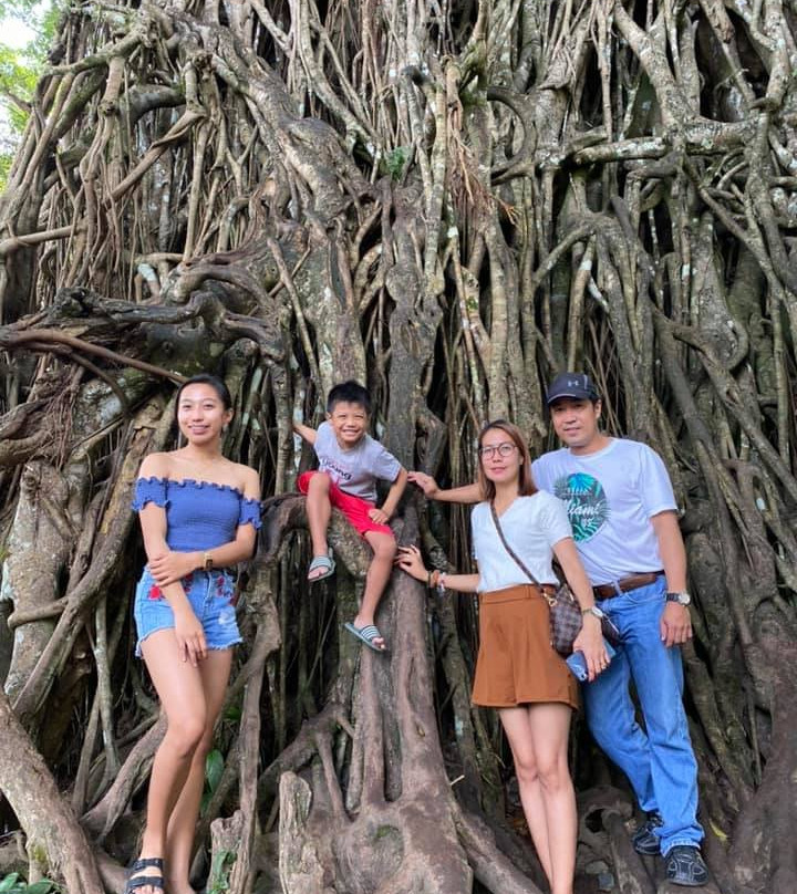 Millennium Tree (Balete tree)景点图片