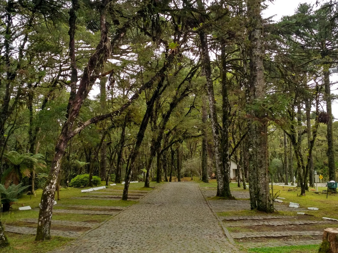 Tri Hotel Canela主图