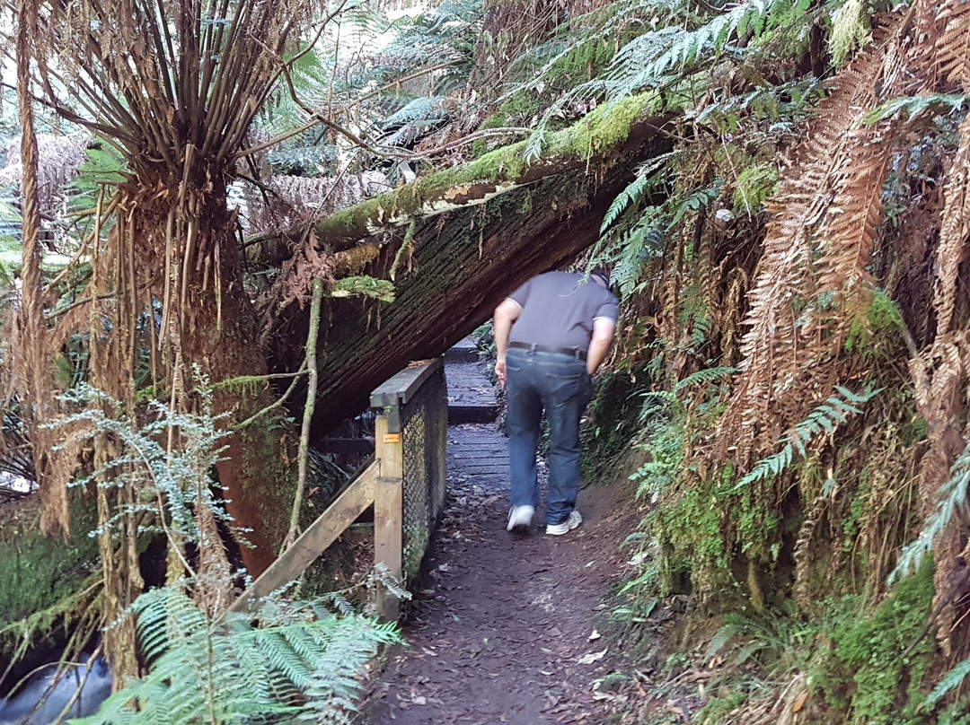 Junee Caves-Maydena必去景点