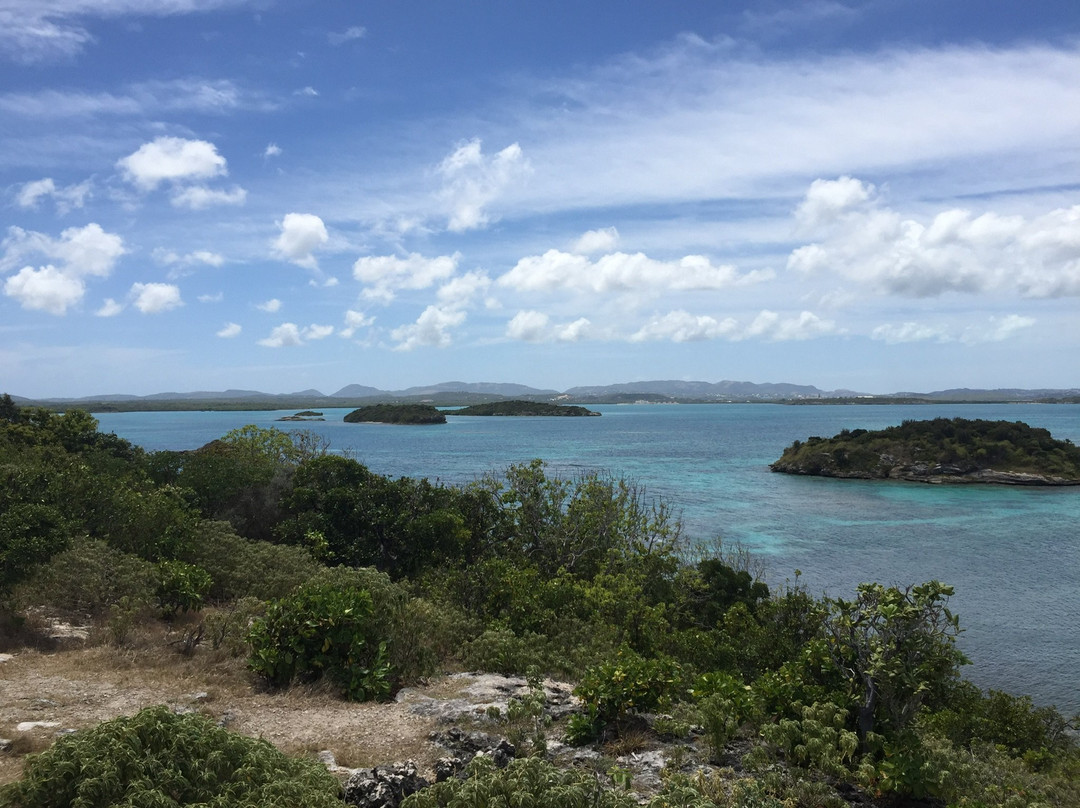 Great Bird Island-圣 约翰必去景点