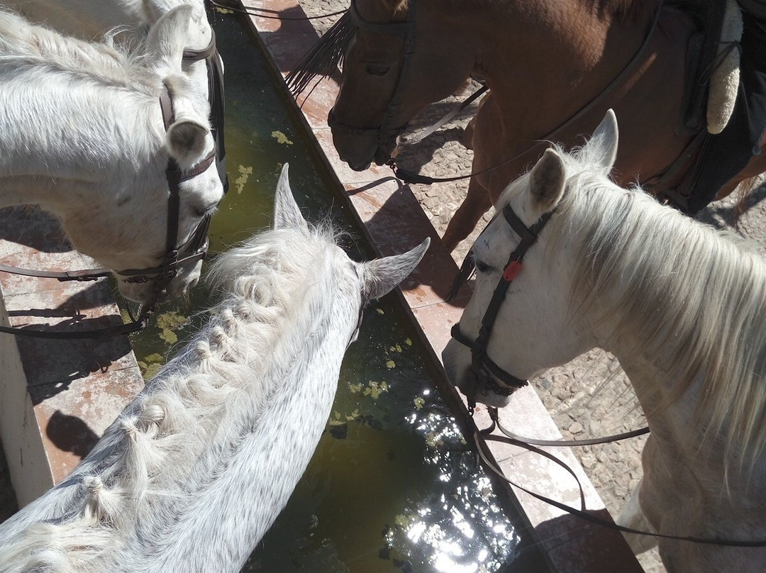 Finca la Suerte. Picadero La Suerte-Galaroza必去景点