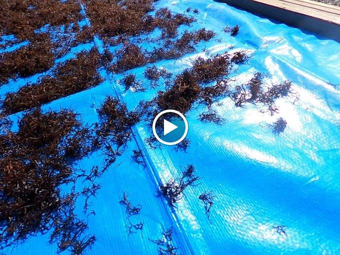 Furumugi Beach-牟岐町必去景点