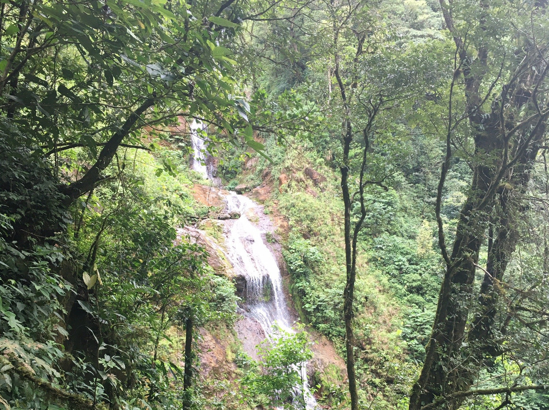 Cataratas Bijagua景点图片
