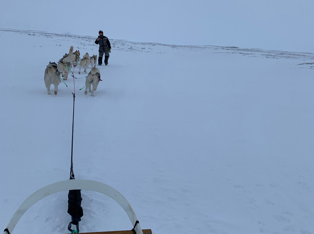 Snow Dogs-米湖必去景点