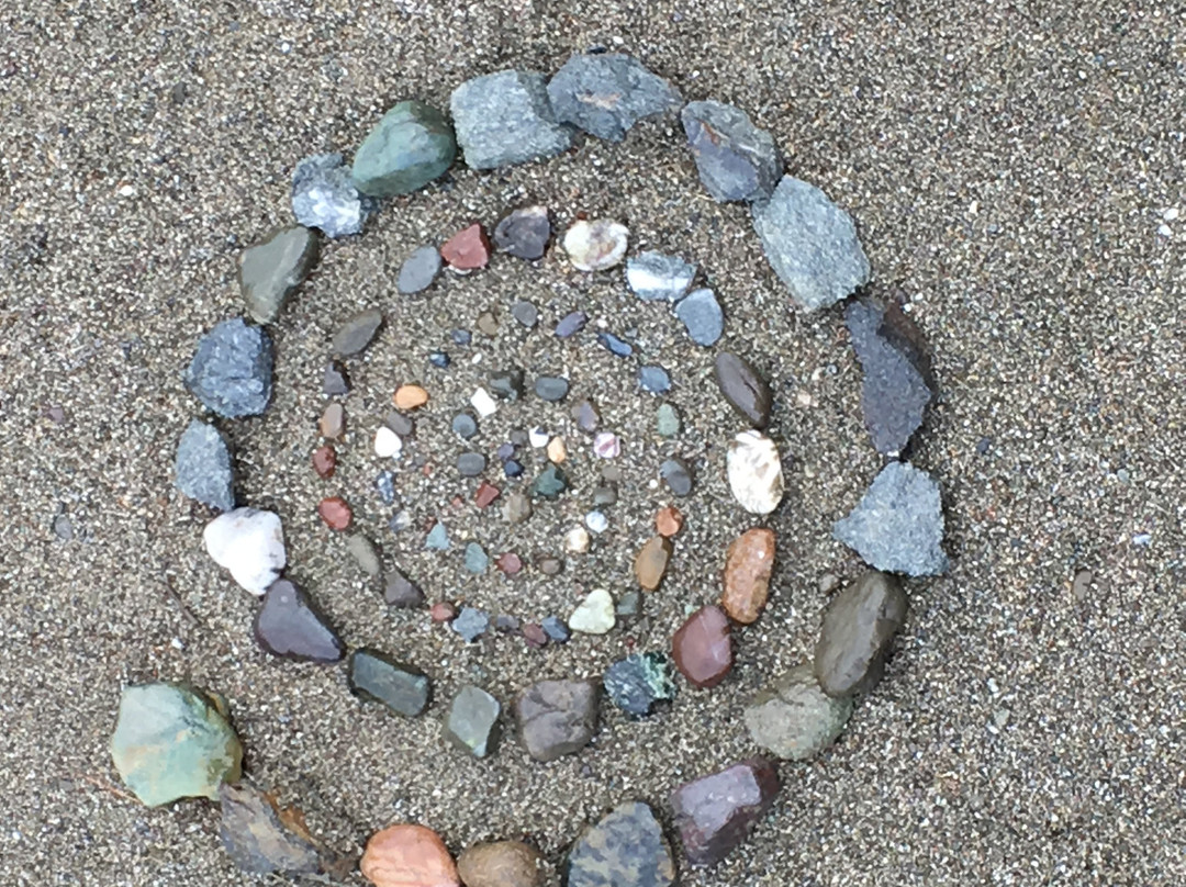 Goat Rock Beach景点图片