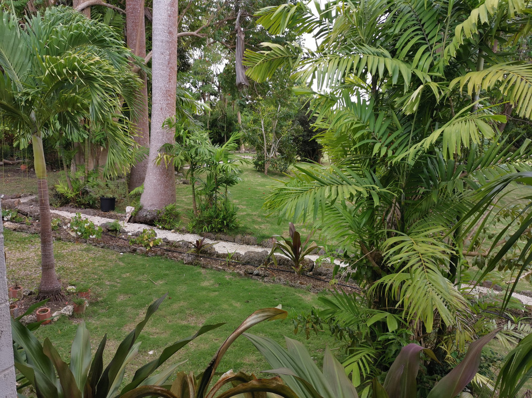 Clifton Hall Great House-Saint John Parish必去景点