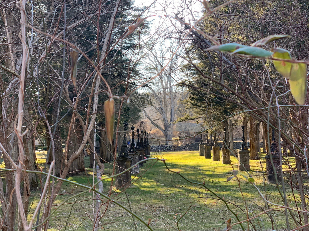 Ringwood State Park景点图片