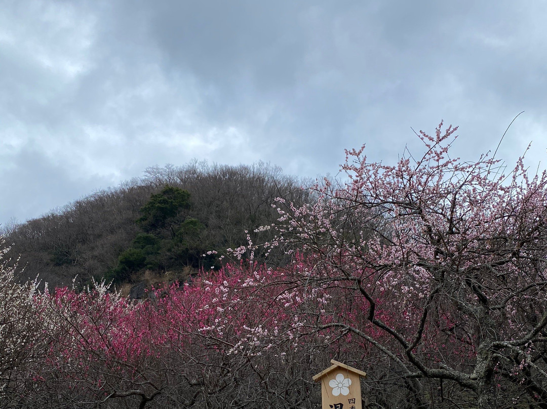 Makuyama Park-汤河原町必去景点