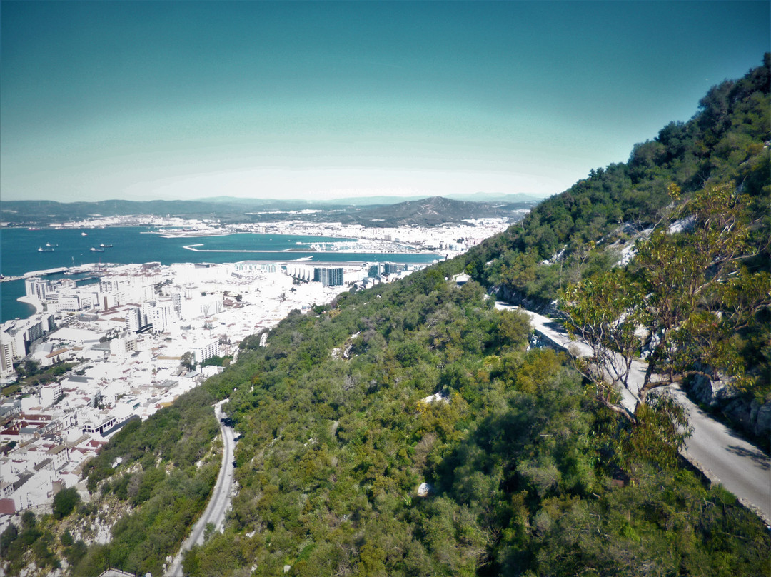 Gibraltar Town旅游攻略图片