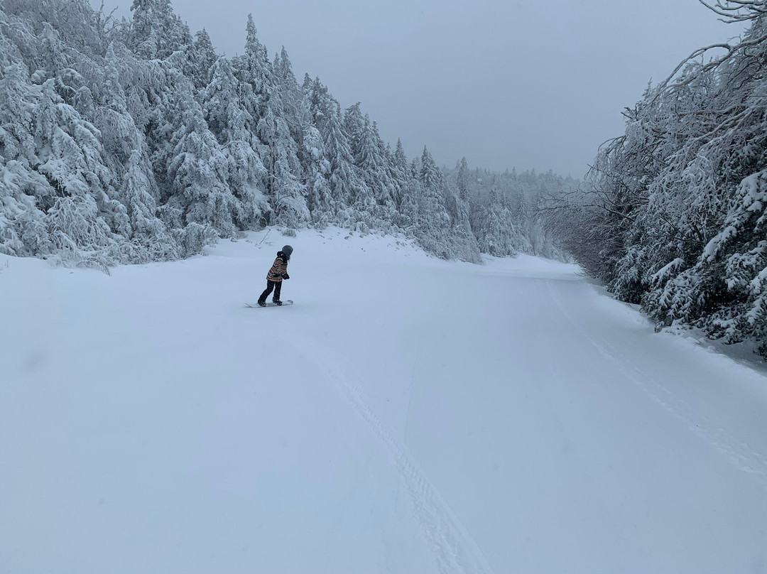 Okemo Mountain Resort景点图片