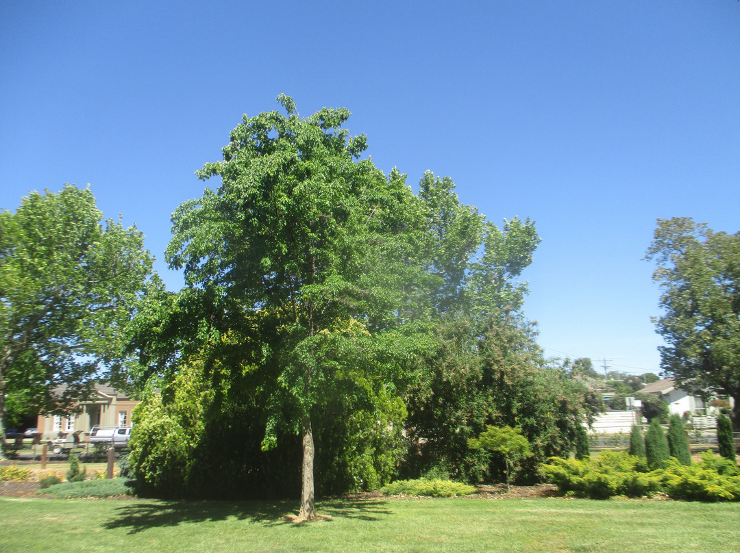 Phillips Gardens-Maryborough必去景点