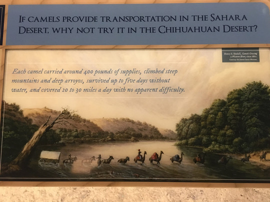 Museum of the Big Bend-Alpine必去景点