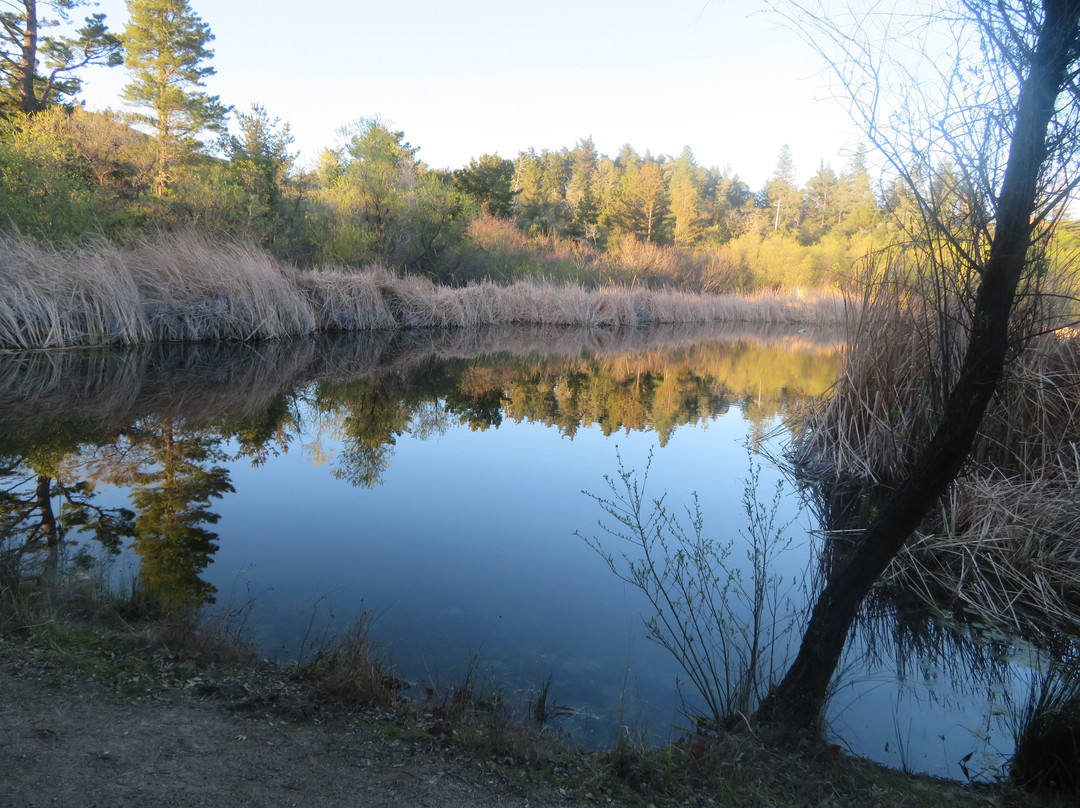 Russian Ridge Open Space Preserve-雷德伍德城必去景点