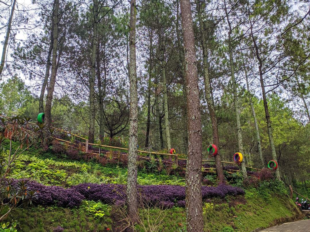 Bukit Bulu Batu Flower Garden-巴图必去景点