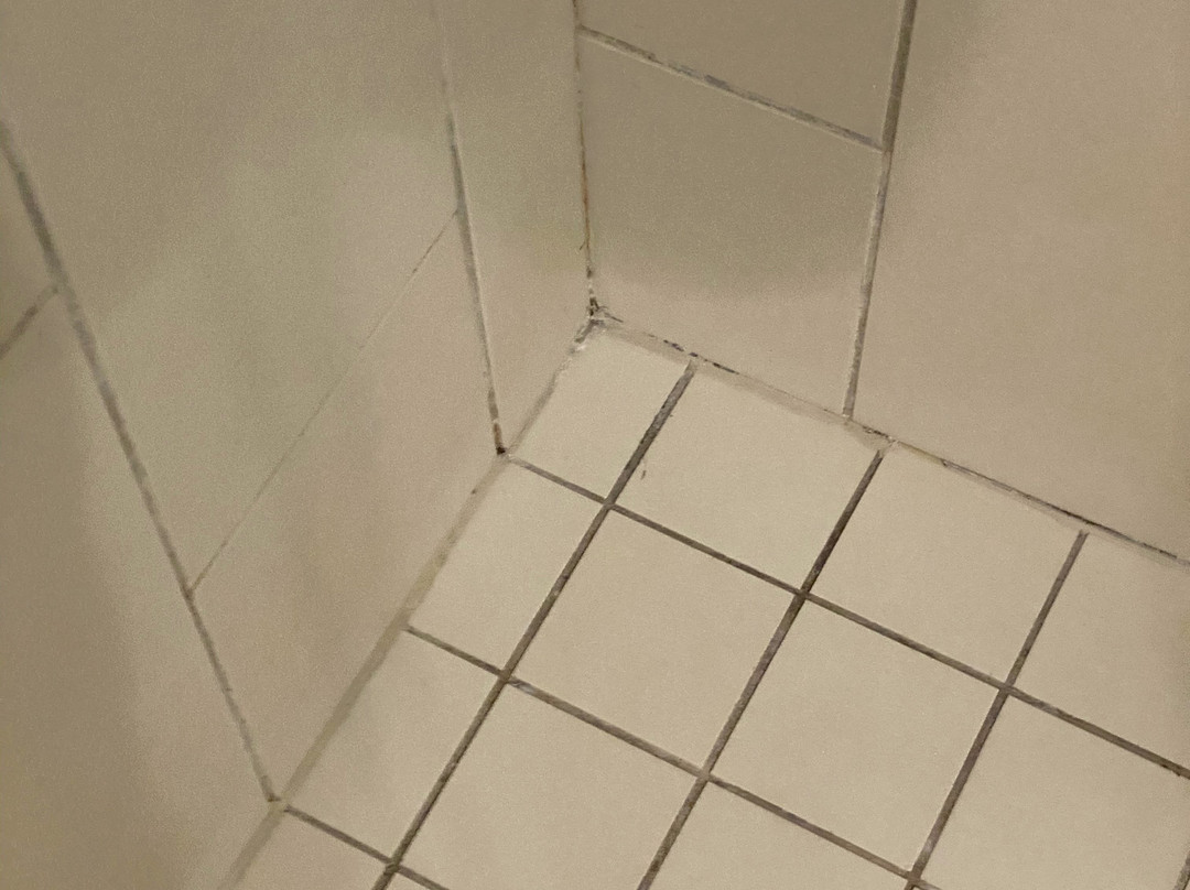 Hyatt Place Boca Raton/Downtown主图