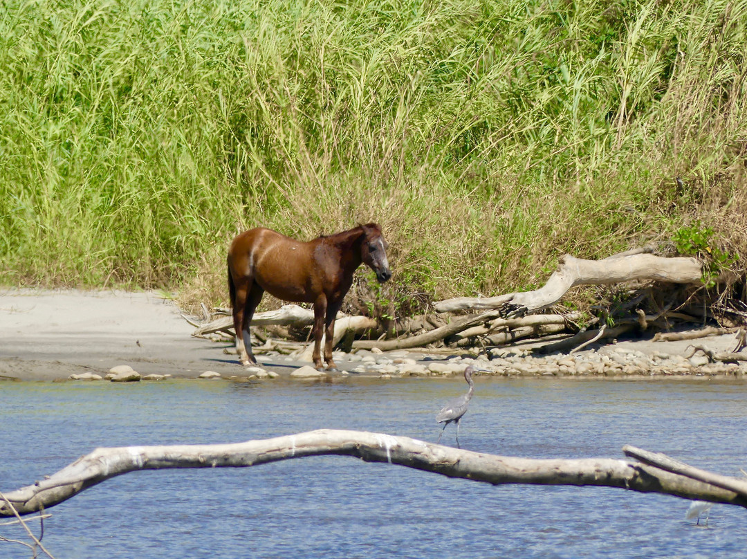 Playa La Bocana-瓦图尔科必去景点