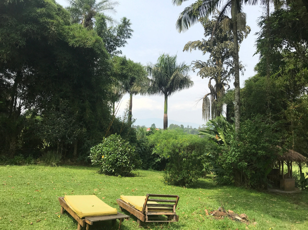 Ruwenzori View Guest House主图