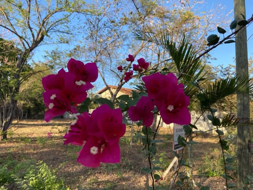 Hotel El Manglar主图