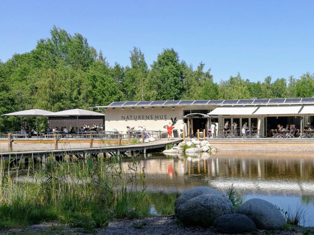 Cafe Naturens Hus