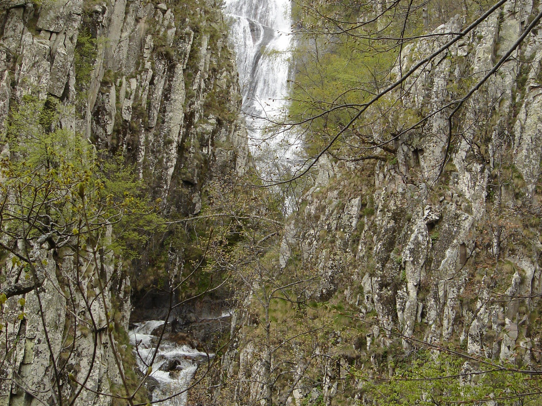 Virgin Forest-兹拉马必去景点