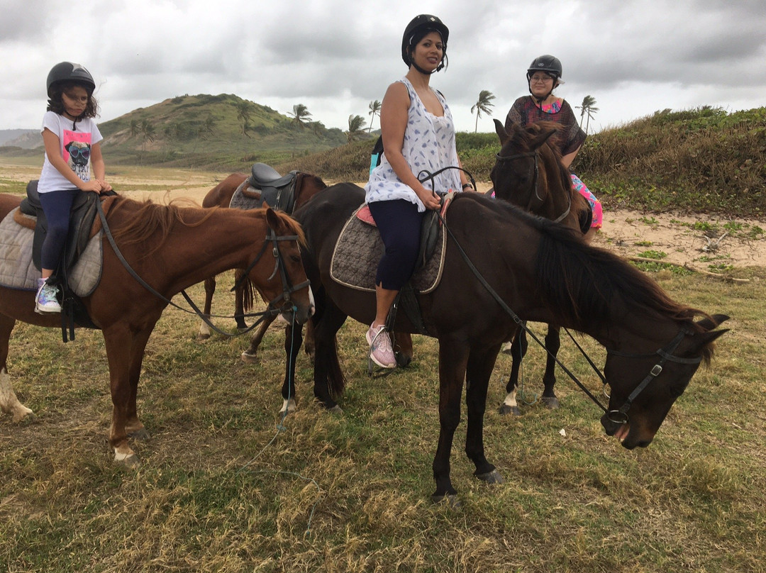 Ride Barbados-Saint Andrew Parish必去景点