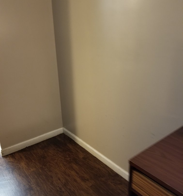 Super 8 by Wyndham Madison主图