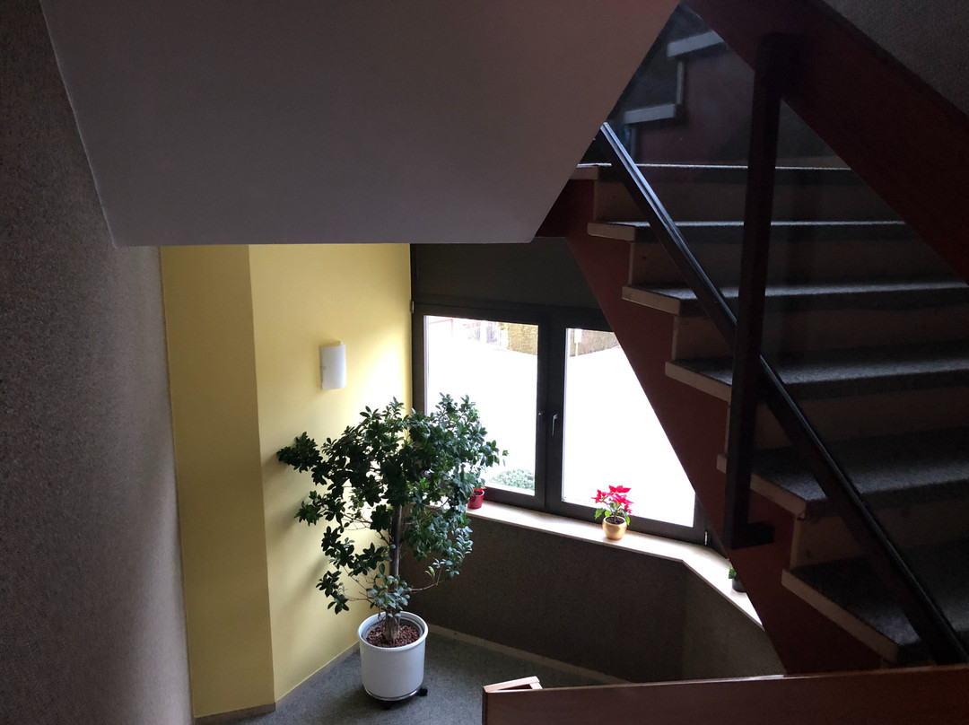 Hotel Erlenhof主图