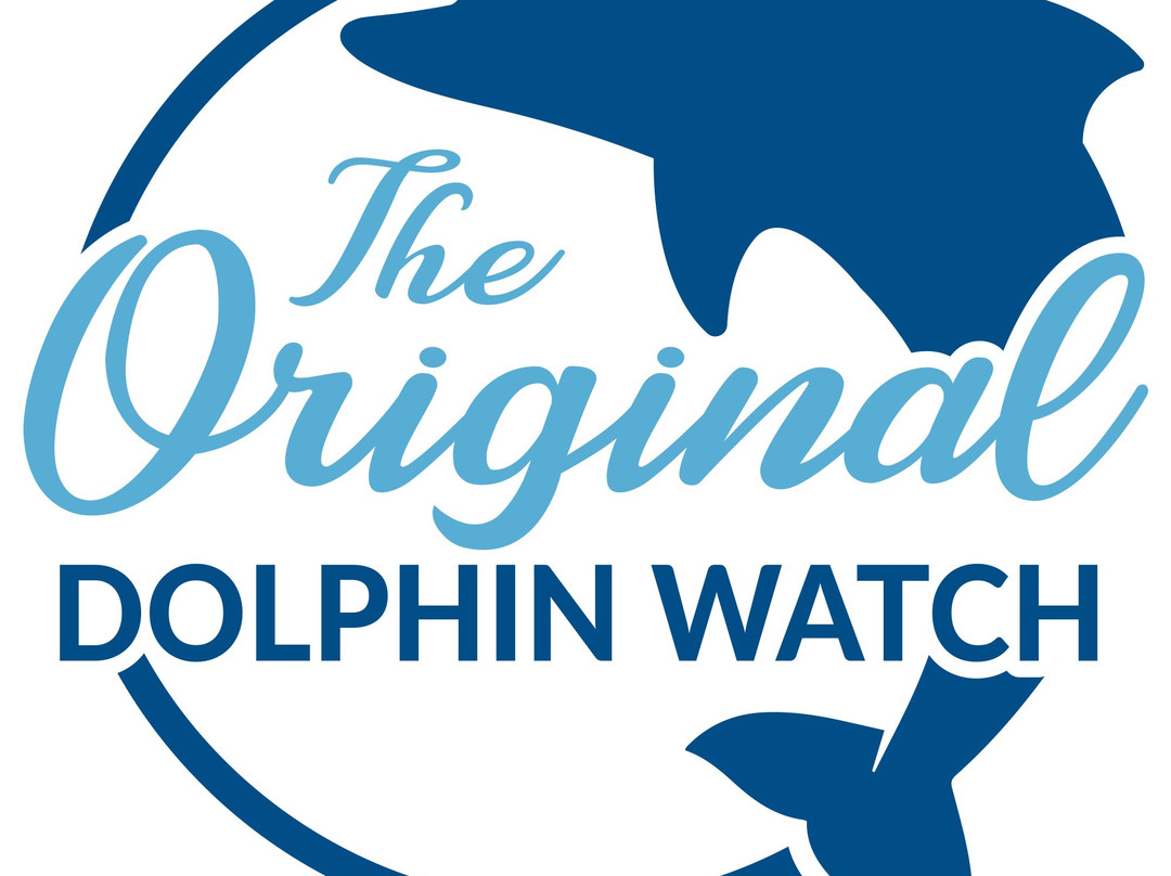 The Original Dolphin Watch景点图片