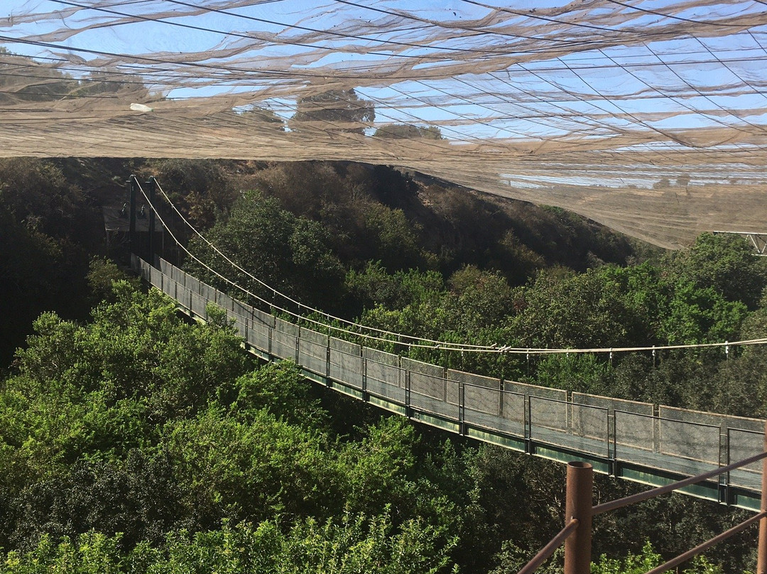 B & B Campomar de Santo Domingo主图