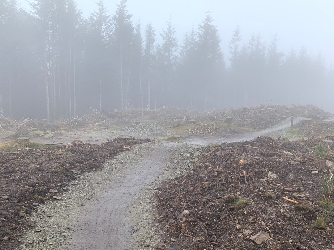 Coed Llandegla Forest-Llandegla必去景点