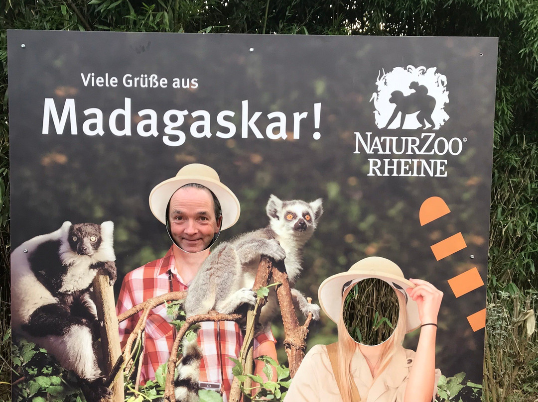 NaturZoo Rheine景点图片
