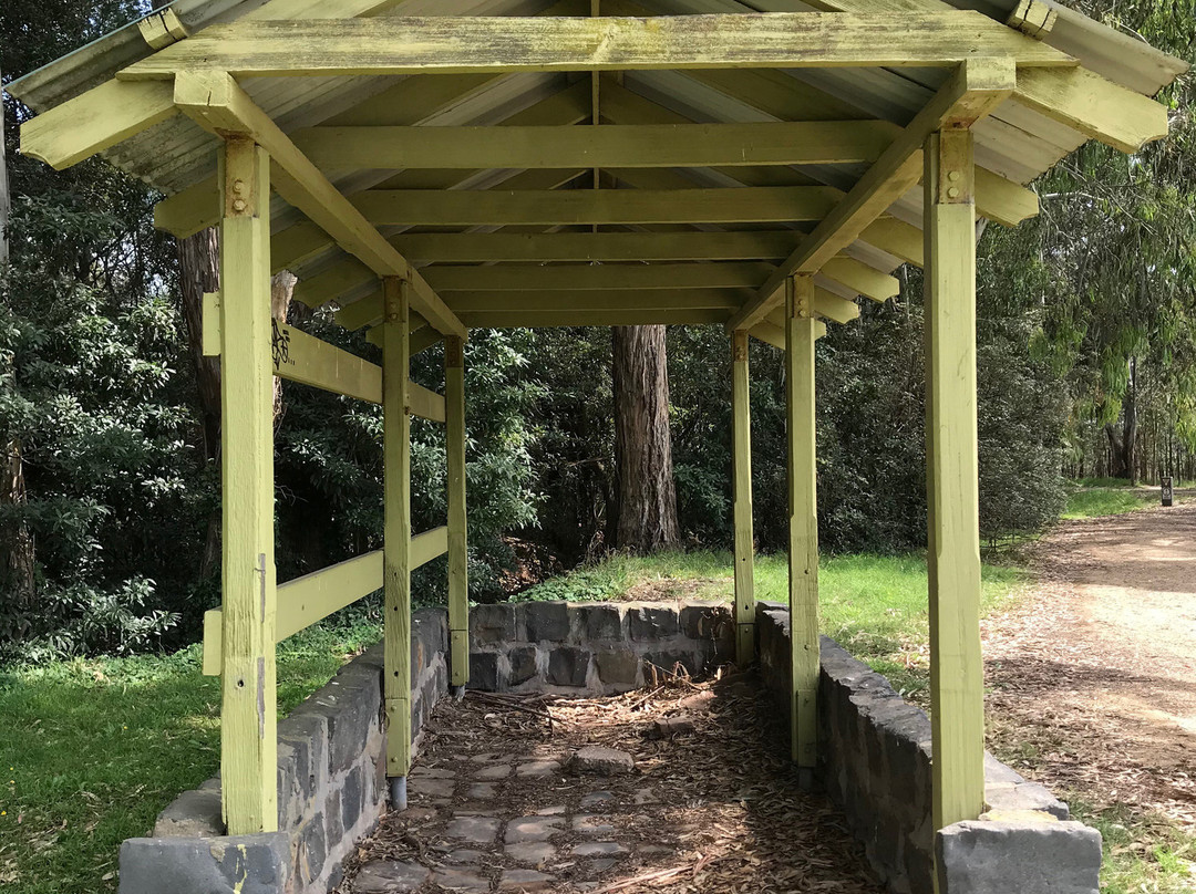 Macalister Wetland Reserve-Maffra必去景点