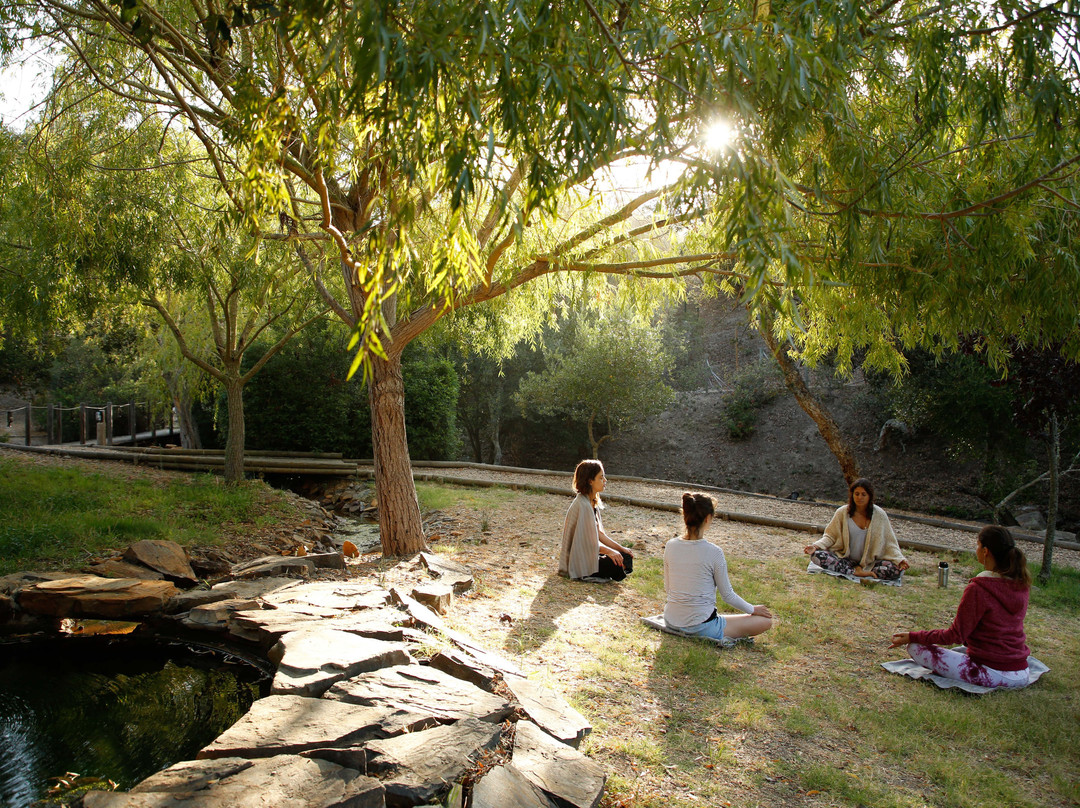 Monte da Vilarinha主图