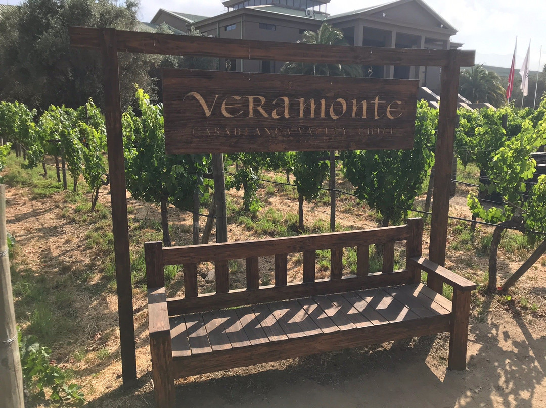 Casablanca Valley-卡萨布兰卡必去景点