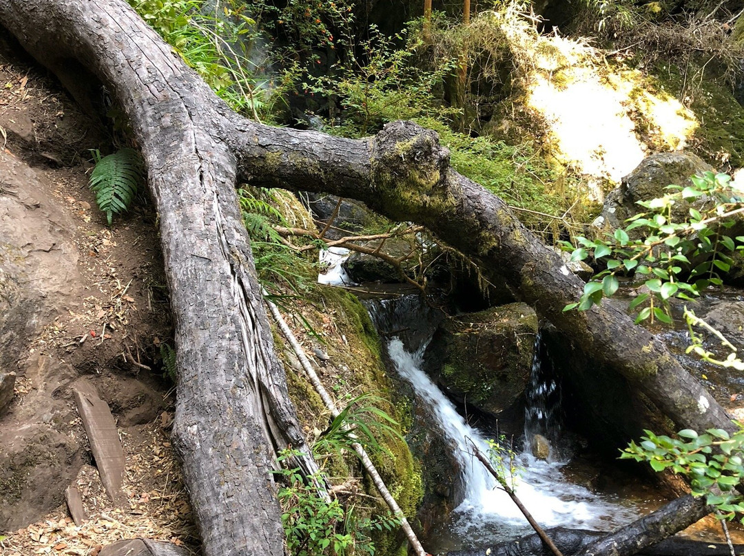 Cascada Velo de la Novia景点图片