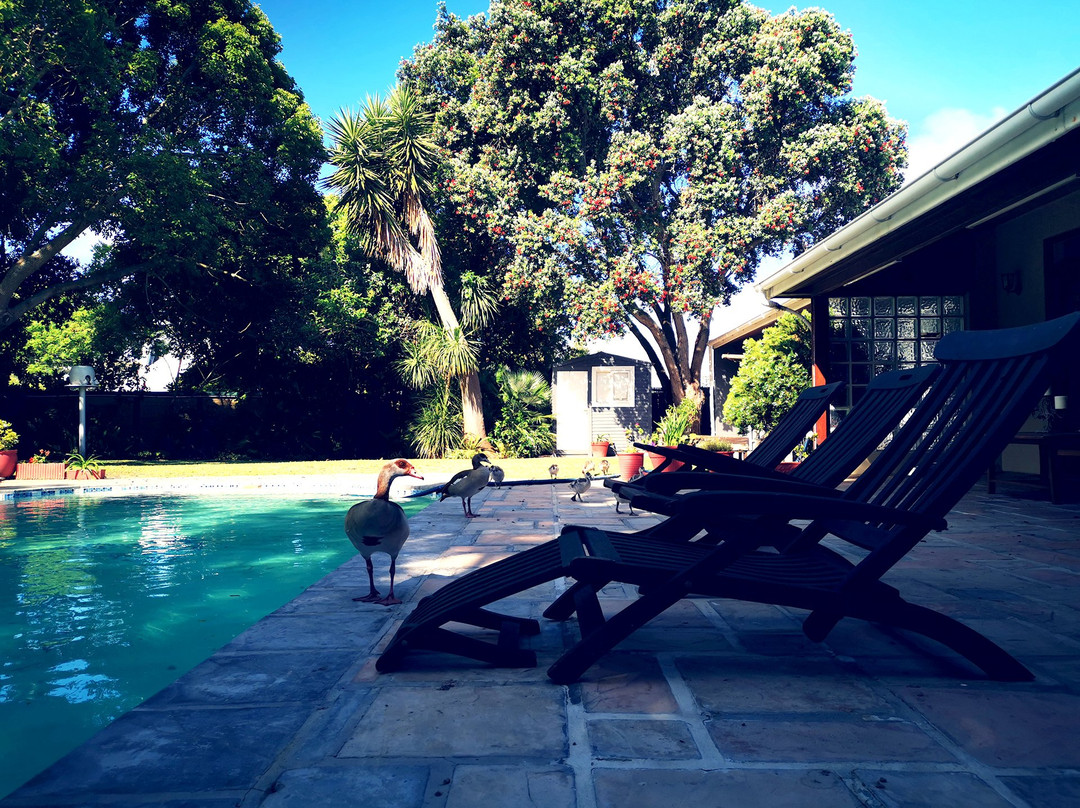 Biancalba Guest House主图