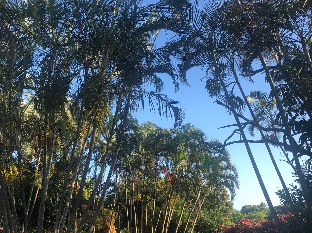 The Elephants Tusk主图