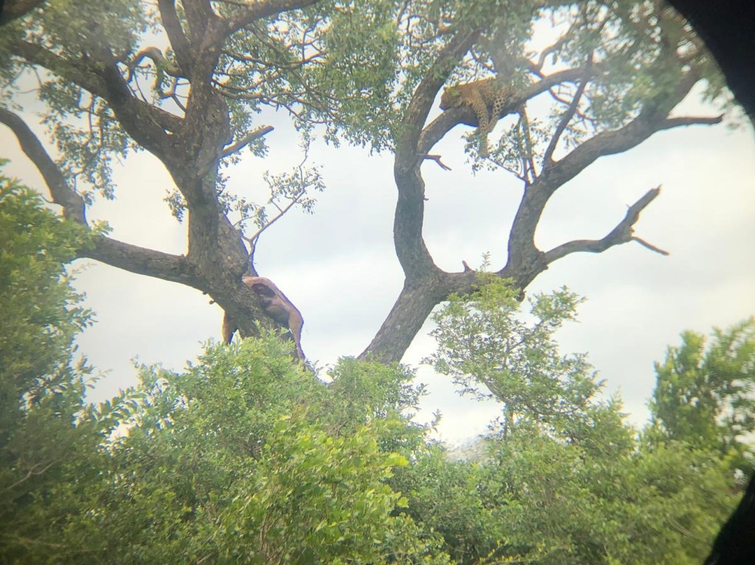 Dawn to Dusk Safaris-雾观必去景点